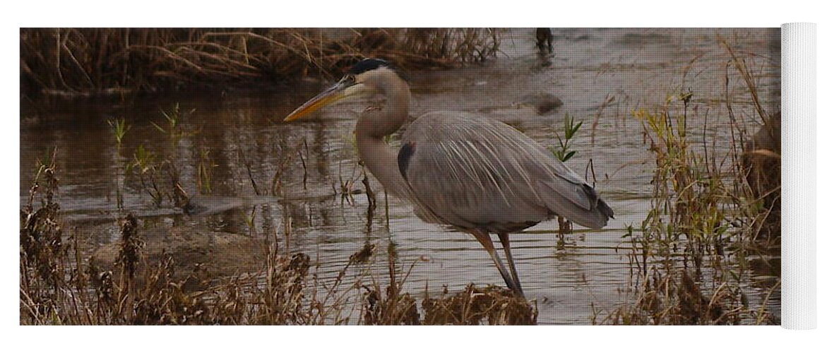 Great Yoga Mat featuring the photograph Great blue heron #1 by James Smullins