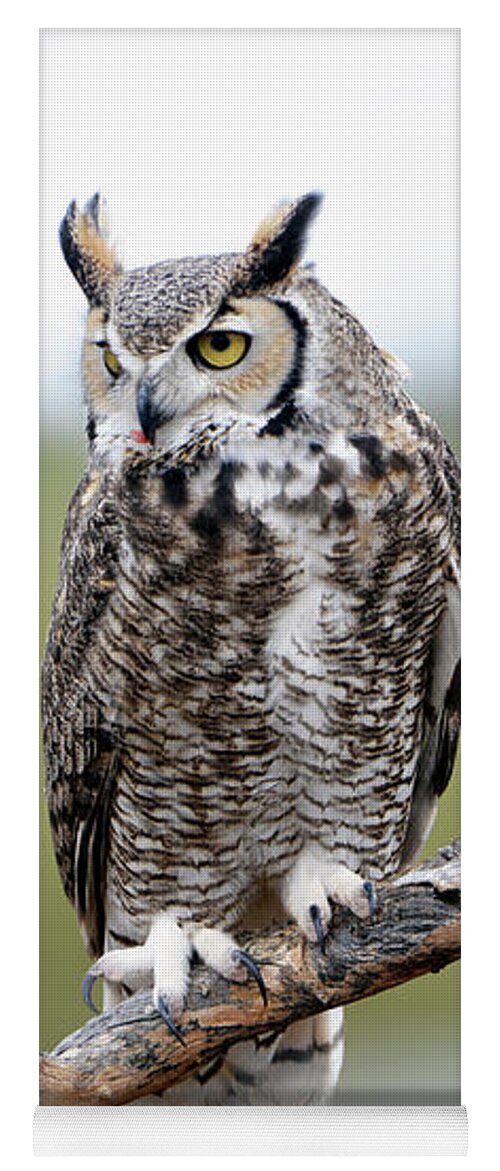 Denise Bruchman Yoga Mat featuring the photograph Great Horned Owl #2 by Denise Bruchman