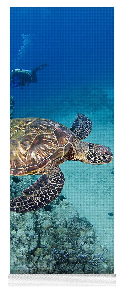 Algae Yoga Mat featuring the photograph Green Sea Turtles #1 by Dave Fleetham - Printscapes