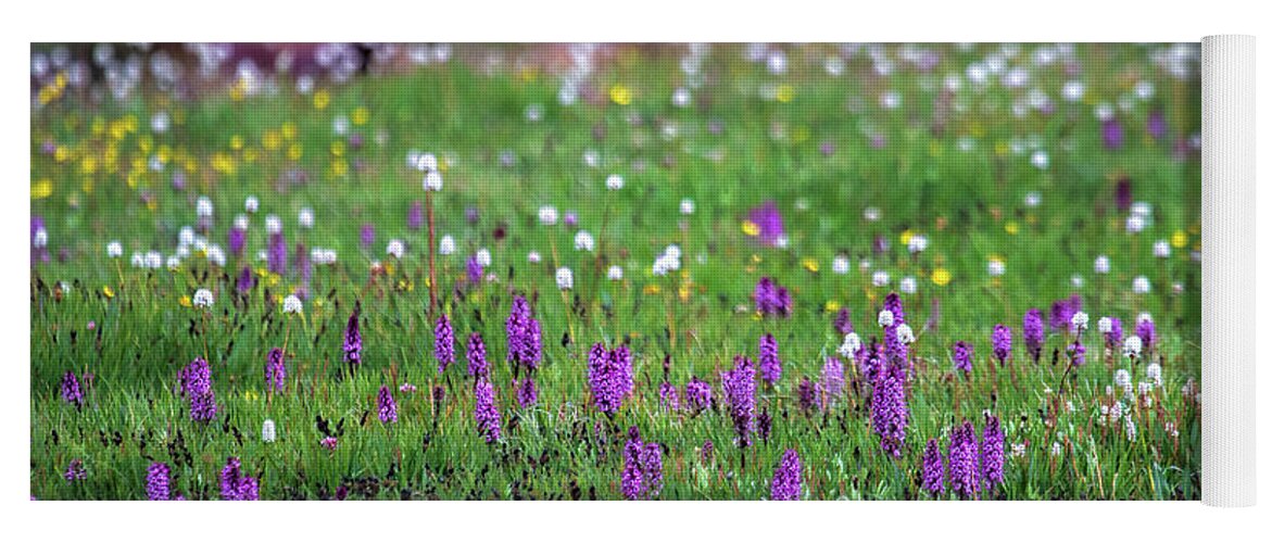Alpine Flowers Landscape Yoga Mat featuring the photograph In the Garden #2 by Jim Garrison
