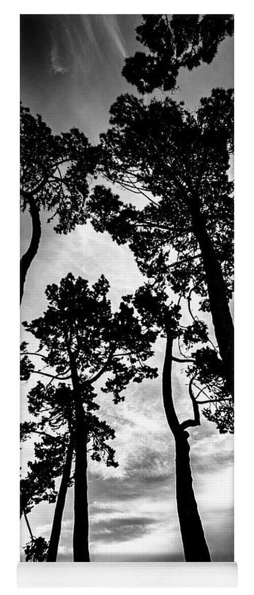 Tree Yoga Mat featuring the photograph Leaning Trees #1 by Roseanne Jones