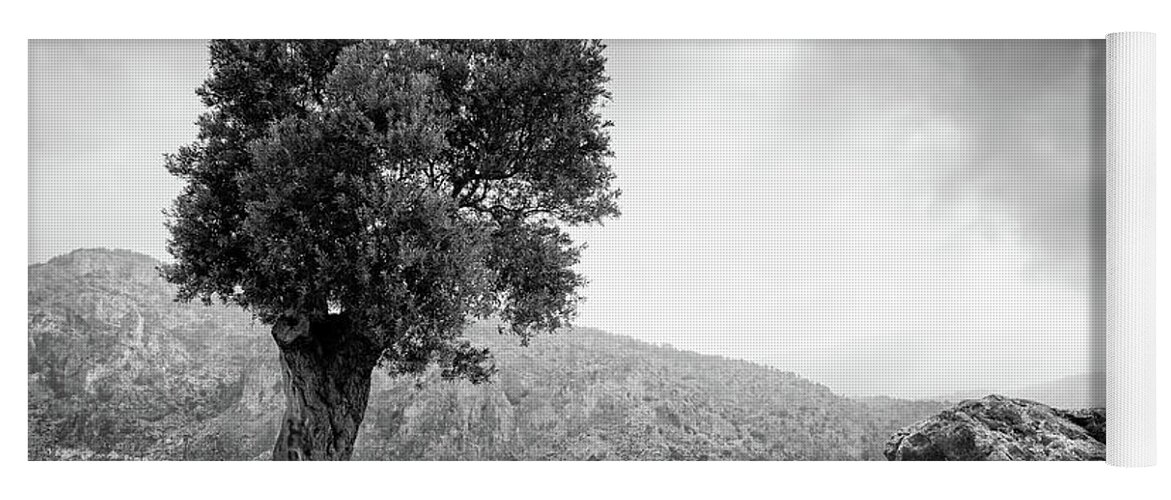 Single Tree Yoga Mat featuring the photograph Lonely olive tree and stormy cloudy sky #1 by Michalakis Ppalis