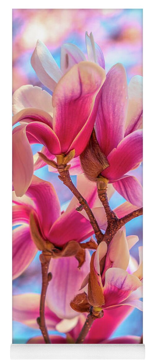 Magnolia Yoga Mat featuring the photograph Magnolia bloom 4 by Lilia S