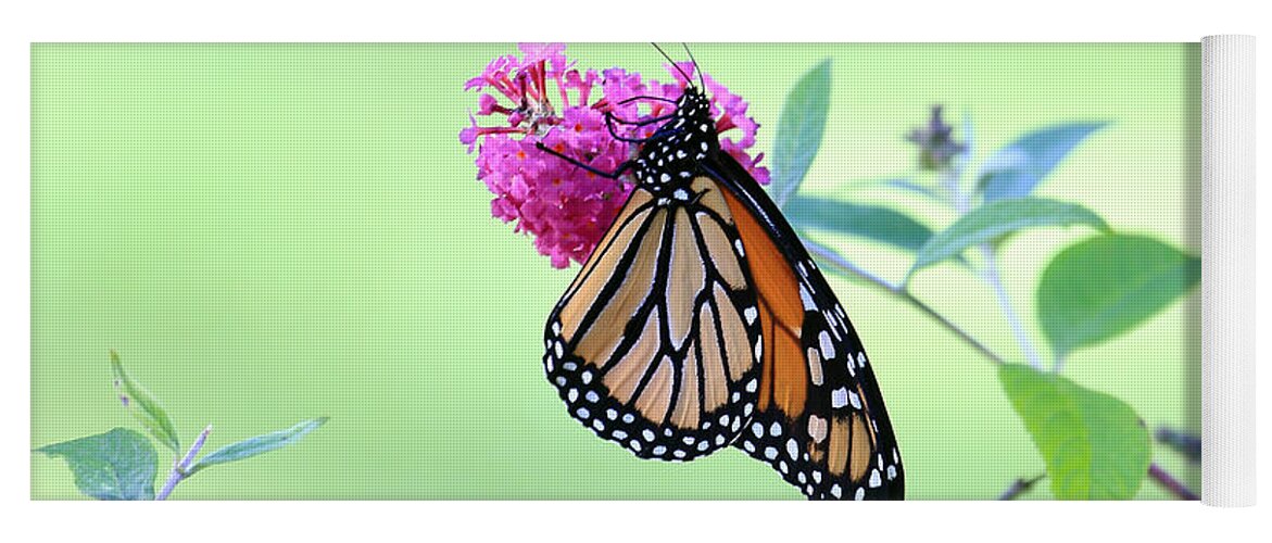 Monarch Butterfly On Butterfly Bush Yoga Mat featuring the photograph Monarch Butterfly #1 by PJQandFriends Photography