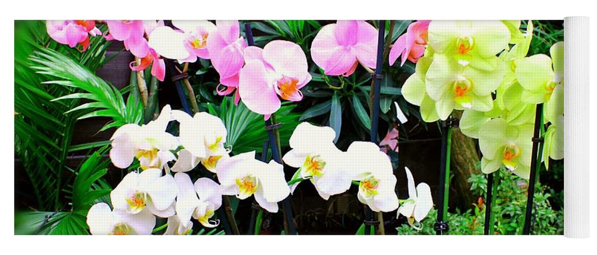 Orchid Yoga Mat featuring the photograph Orchid #1 by Mariel Mcmeeking