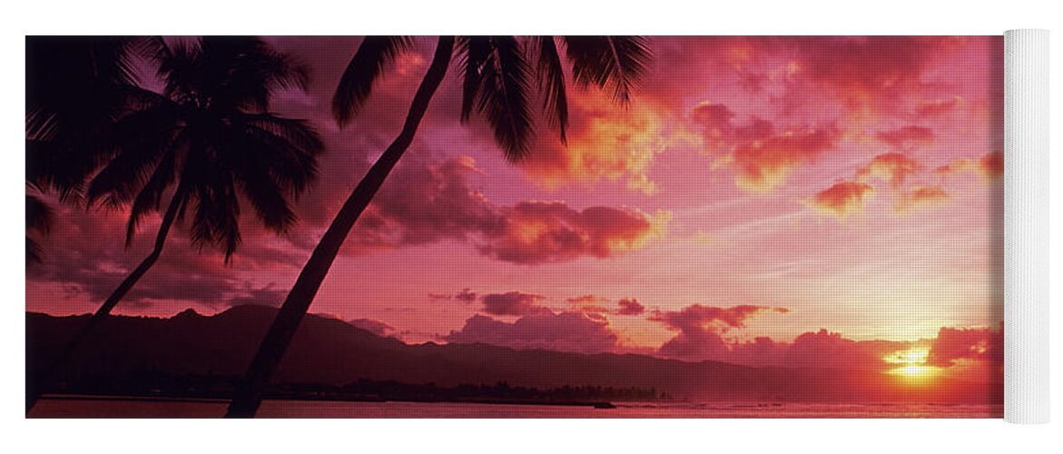 Beach Yoga Mat featuring the photograph Palms Against Pink Sunset #1 by Carl Shaneff - Printscapes
