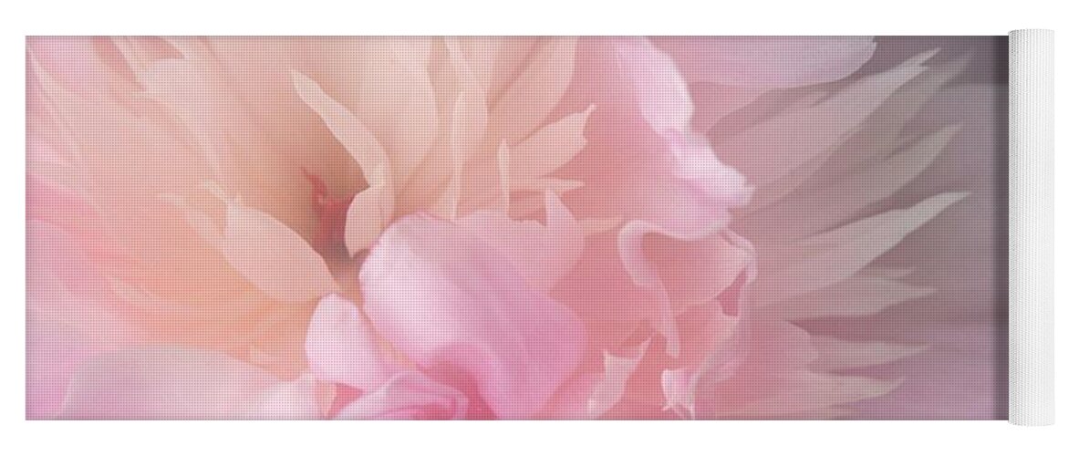 Pink Peony Light Petals Dreamy Yoga Mat featuring the photograph Peony Series 1-6 by J Doyne Miller
