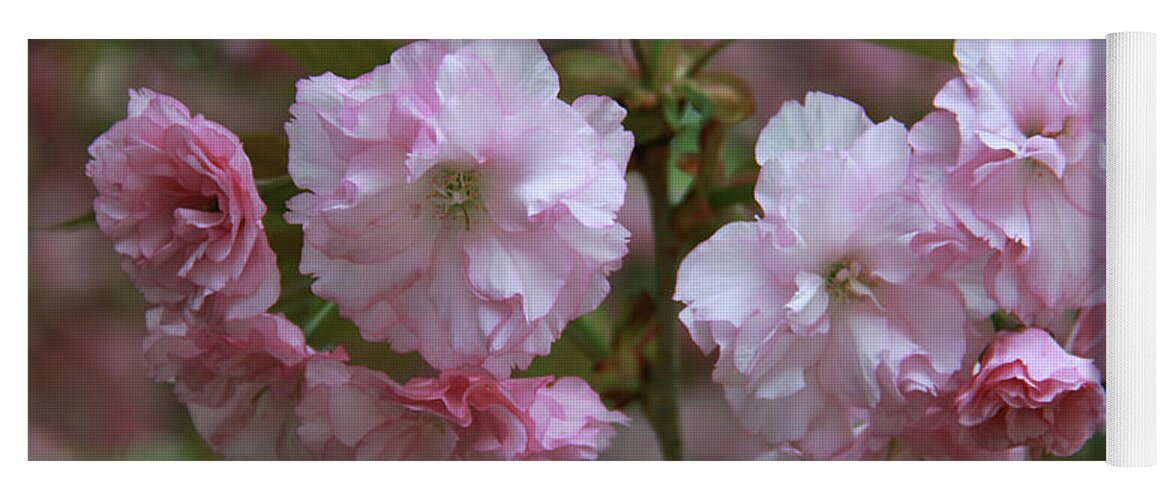Pink Yoga Mat featuring the photograph Pink Blossoms of Crabapple Tree by Yvonne Wright