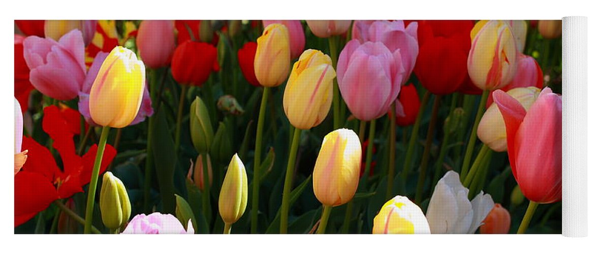 Tulips Yoga Mat featuring the photograph Colourful Tulips by Elaine Teague