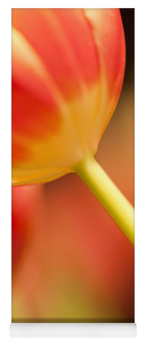Tulip Yoga Mat featuring the photograph Red Tulips #3 by Heiko Koehrer-Wagner
