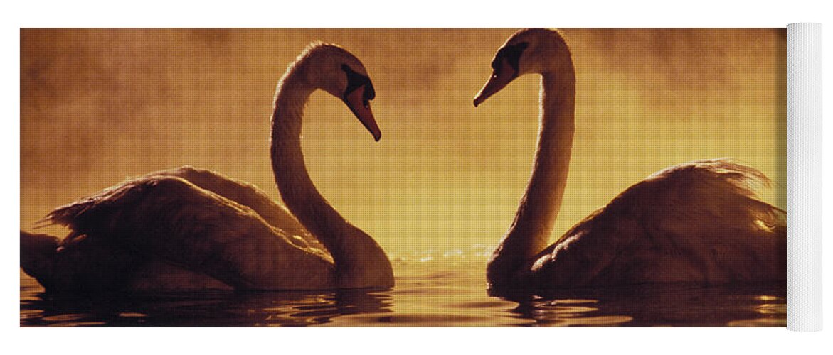 Afternoon Yoga Mat featuring the photograph Romantic African Swans #1 by Brent Black - Printscapes