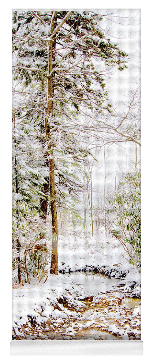 Stream Yoga Mat featuring the photograph Small Mountain Stream in Winter #1 by A Macarthur Gurmankin
