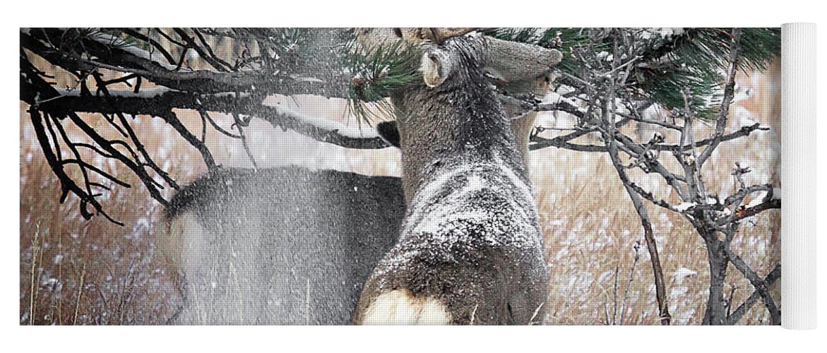 Deer Yoga Mat featuring the photograph Snow Showers #2 by Jim Garrison