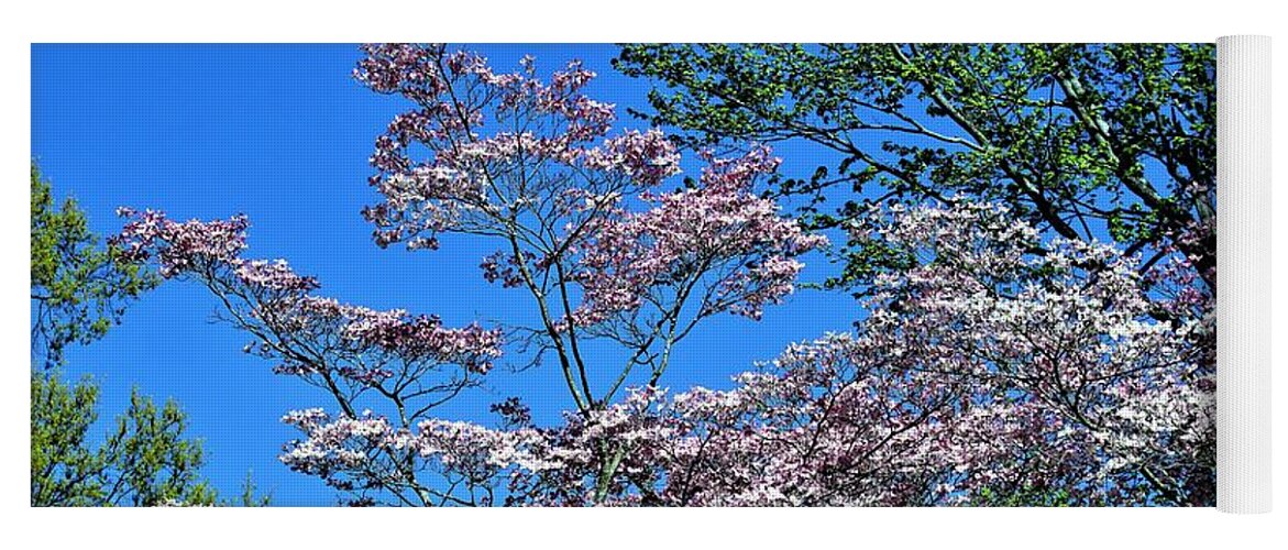 Flowers Yoga Mat featuring the photograph Springtime in Louisville #1 by Merle Grenz