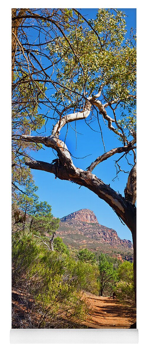 St Mary Peak Wilpena Pound Outback Landscape Landscapes South Australia Australian Yoga Mat featuring the photograph St Mary Peak Wilpena Pound #2 by Bill Robinson