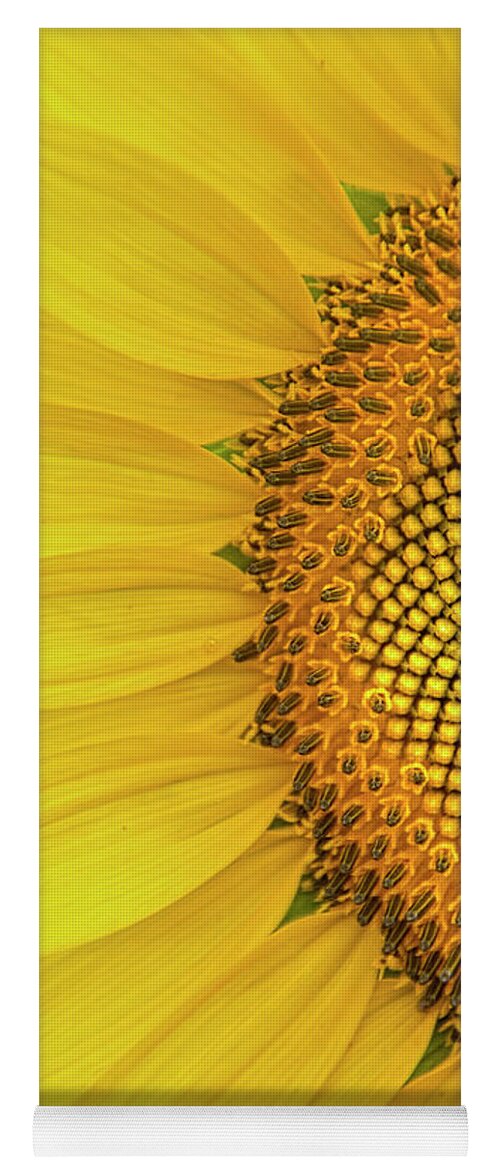 Sunflower Yoga Mat featuring the photograph Sunflower Petals #1 by Erika Fawcett