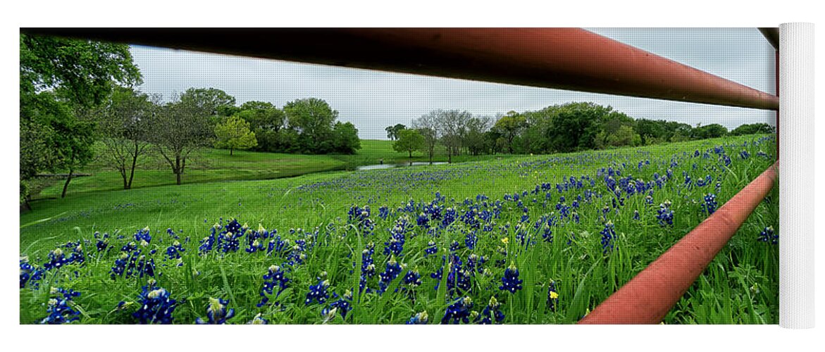 Ennis Yoga Mat featuring the photograph Texas Bluebonnets in Ennis #2 by Robert Bellomy