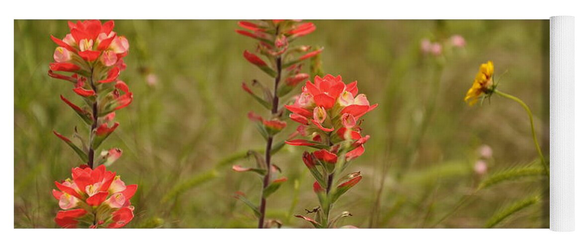 Texas Hill Country Yoga Mat featuring the photograph Texas Paintbrush #1 by Frank Madia