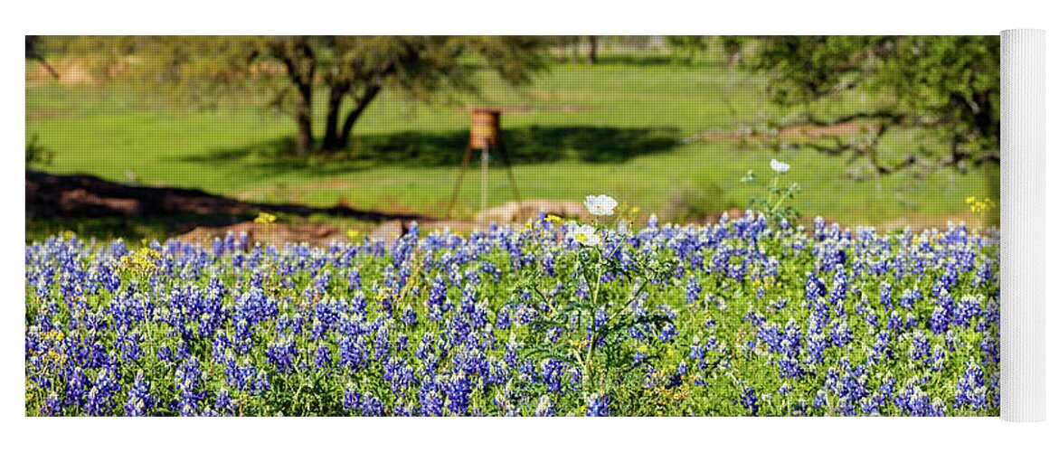 Austin Yoga Mat featuring the photograph Texas Wildflowers #1 by Raul Rodriguez