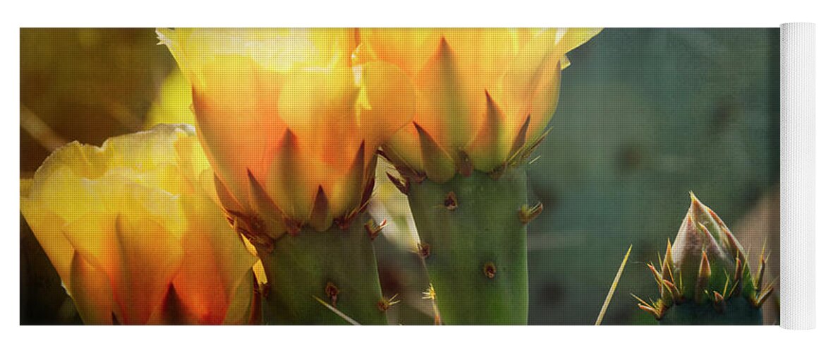 Golden Prickly Pear Cactus Yoga Mat featuring the photograph That Golden Glow #1 by Saija Lehtonen