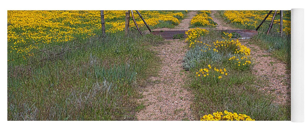 Yellow Wildflowers Yoga Mat featuring the photograph The Golden Gate by Jim Garrison