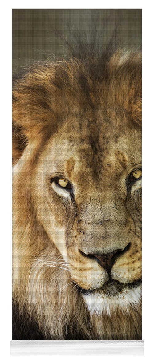 African Lion Yoga Mat featuring the photograph Through The Eyes of A King #1 by Saija Lehtonen