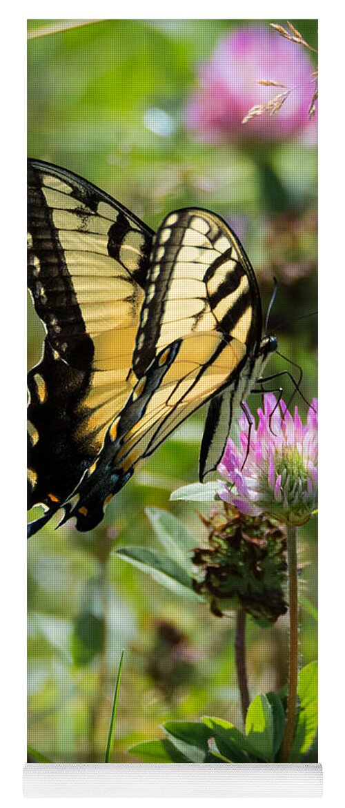 Butterfly Yoga Mat featuring the photograph Tiger Swallowtail Butterfly by Holden The Moment