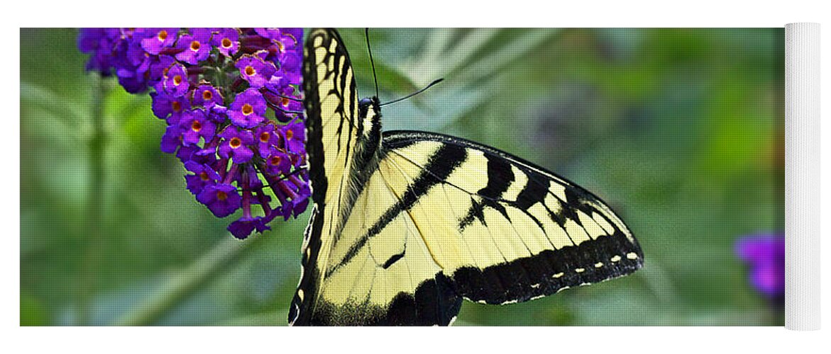 Black Yoga Mat featuring the photograph Tiger Swallowtail Butterfly - Papilio glaucus #1 by Carol Senske