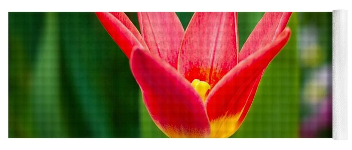 Tulip Yoga Mat featuring the digital art Tulip #1 by Maye Loeser