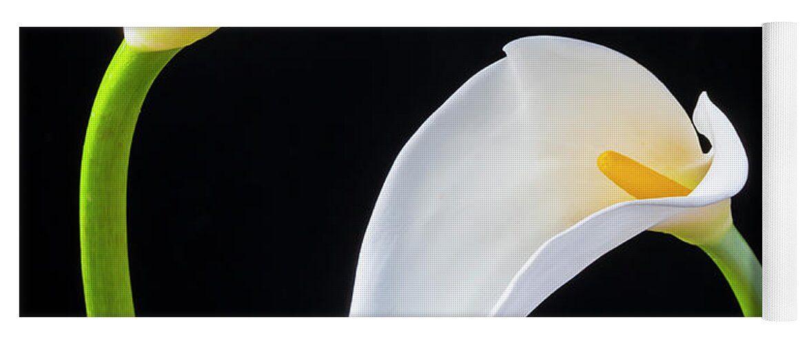 Graphic Yoga Mat featuring the photograph Two Lovely Calla Lilies #1 by Garry Gay