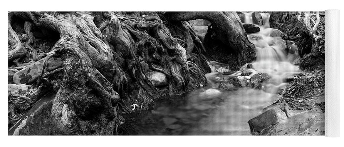 Cascade Yoga Mat featuring the photograph Water flowing through tree roots #2 by Michalakis Ppalis