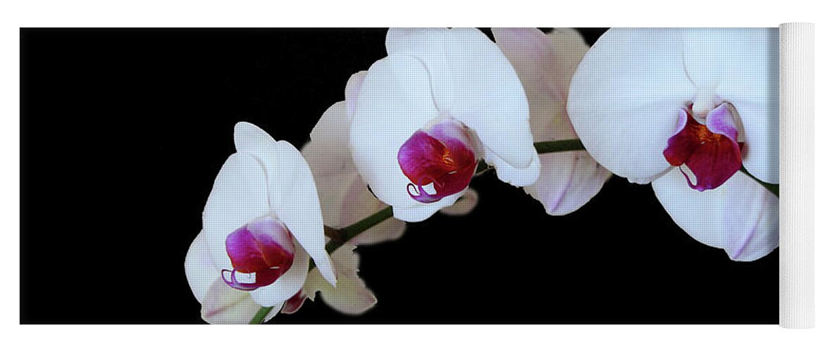 Flora Yoga Mat featuring the photograph White and Red Orchids #1 by Mariarosa Rockefeller