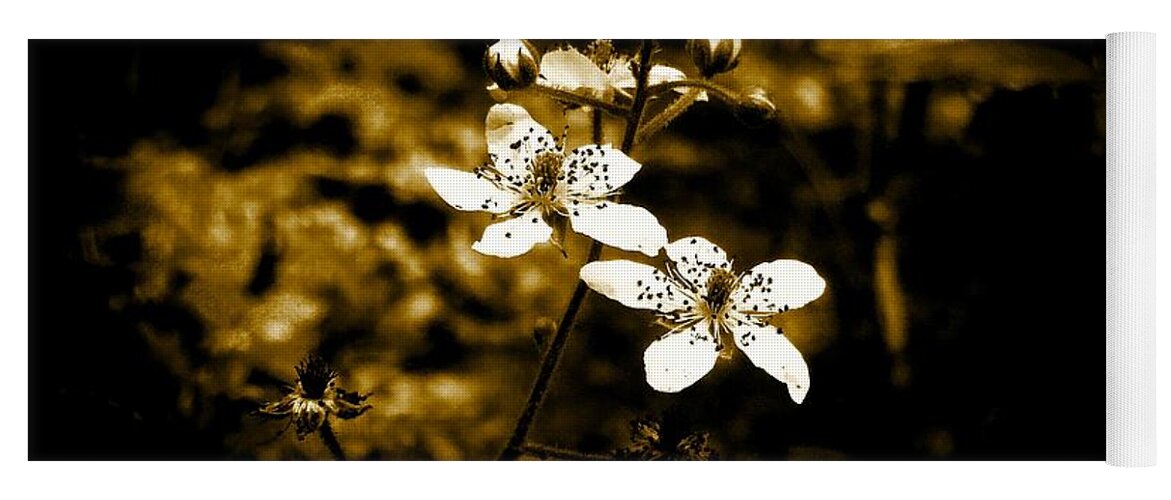 Flower Yoga Mat featuring the photograph White flowers #1 by Ryan Cruse