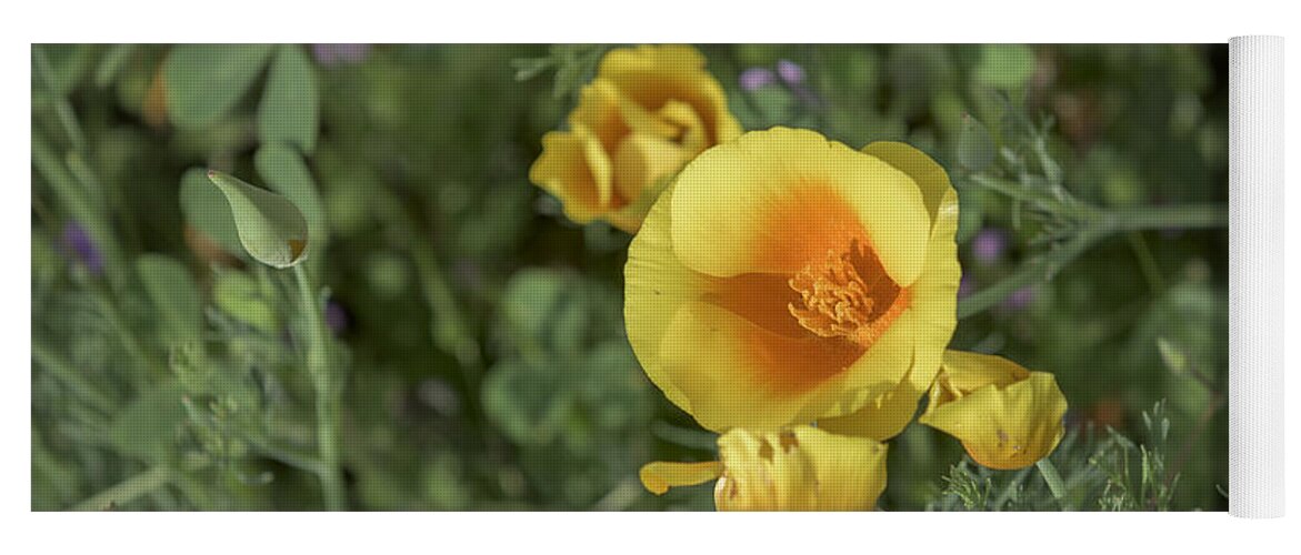 California Yoga Mat featuring the photograph Yellow and Orange Poppy #2 by Jim Thompson