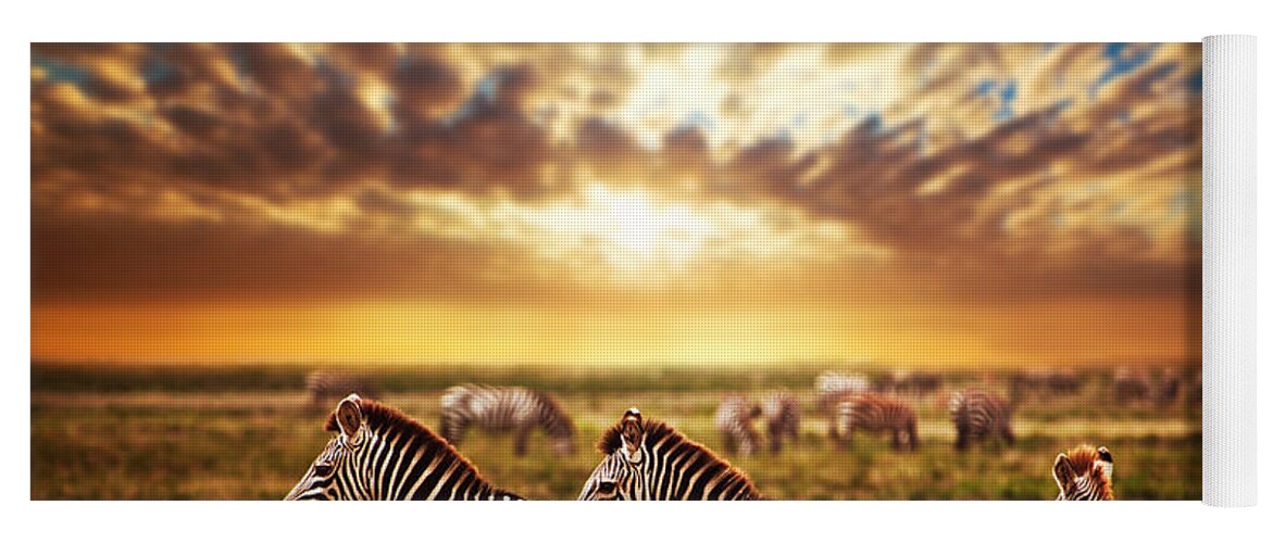 Africa Yoga Mat featuring the photograph Zebras herd on African savanna at sunset. #1 by Michal Bednarek