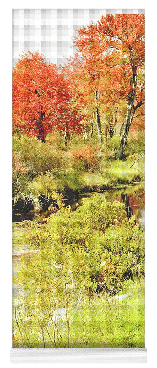 Tunkhannock Creek Yoga Mat featuring the photograph Stream in Autumn, Pocono Mountains, Pennsylvania #8 by A Macarthur Gurmankin
