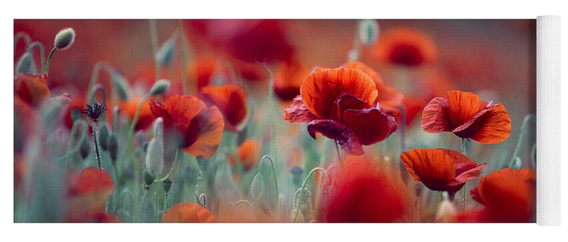 Poppy Yoga Mat featuring the photograph Summer Poppy Meadow #15 by Nailia Schwarz