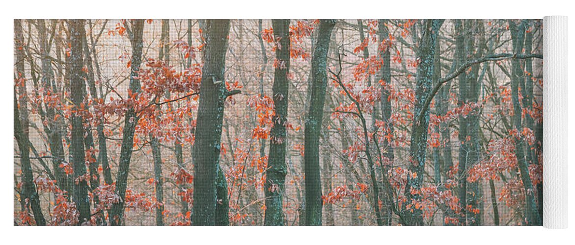 Landscape Yoga Mat featuring the photograph Autumn forest #2 by Jelena Jovanovic