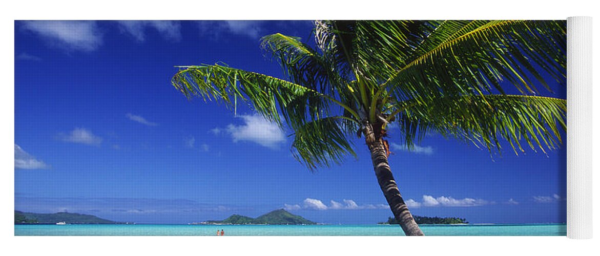 Beach Yoga Mat featuring the photograph Bora Bora, Palm Tree #2 by Ron Dahlquist - Printscapes