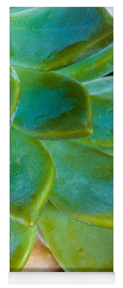 Beautiful Yoga Mat featuring the photograph Blue Pearl Plant by Raul Rodriguez