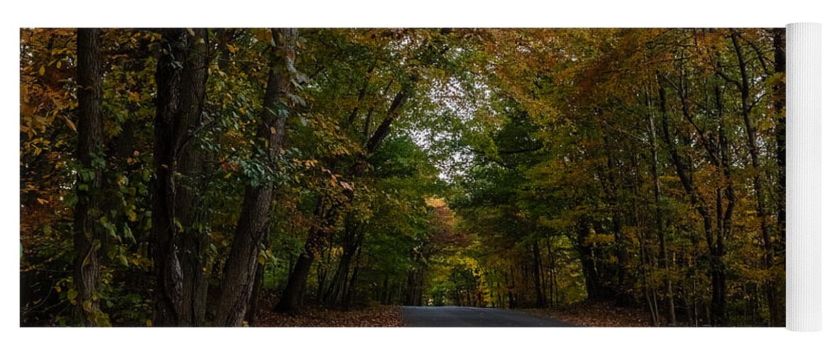 Park Yoga Mat featuring the photograph Fall foliage #2 by SAURAVphoto Online Store
