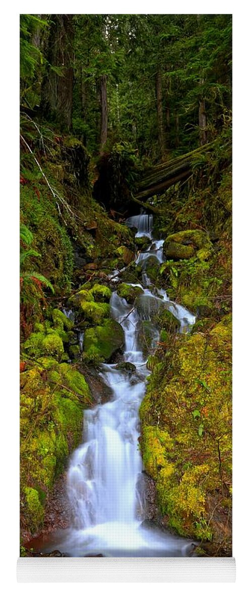 Olympic National Park Yoga Mat featuring the photograph Streaming In The Olympic Rainforest by Adam Jewell