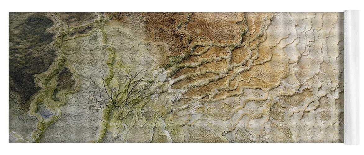 Wyoming Yoga Mat featuring the photograph Mammoth Hot Springs abstract #2 by Shirley Mitchell
