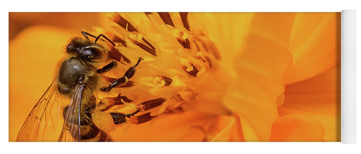 Bee Yoga Mat featuring the photograph Pollination #2 by SAURAVphoto Online Store