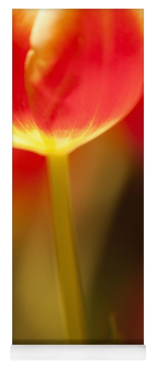 Tulip Yoga Mat featuring the photograph Red Tulips #1 by Heiko Koehrer-Wagner