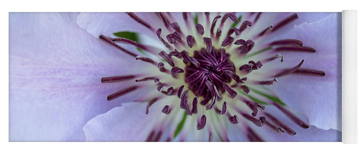  Yoga Mat featuring the photograph Spring #2 by Brian Jones