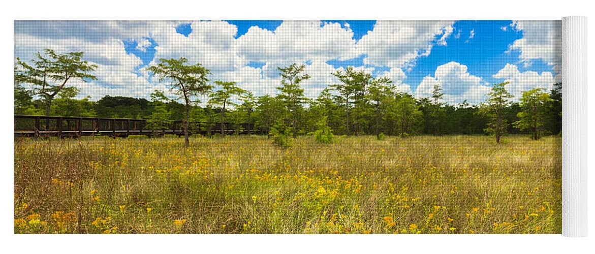 Everglades Yoga Mat featuring the photograph Florida Everglades #23 by Raul Rodriguez