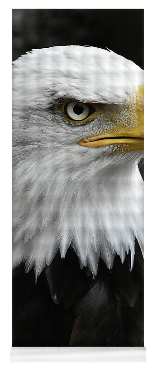 Bald Eagle Yoga Mat featuring the photograph Bald Eagle #4 by Kuni Photography