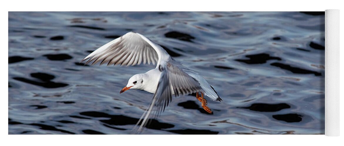 Gull Yoga Mat featuring the photograph Flying Gull #3 by Michal Boubin