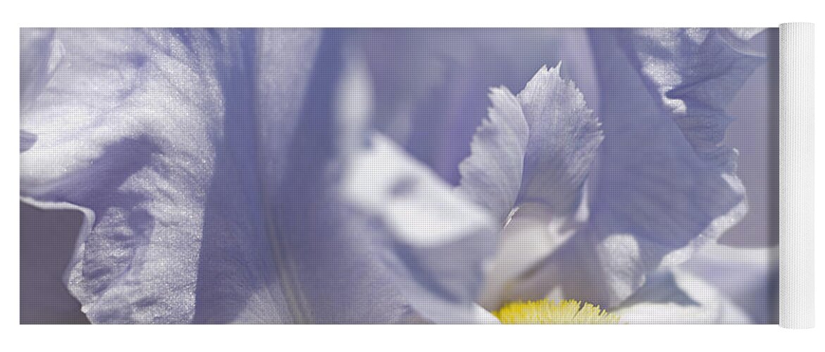 Genus Iris Yoga Mat featuring the photograph Iris Flowers #4 by Tony Cordoza